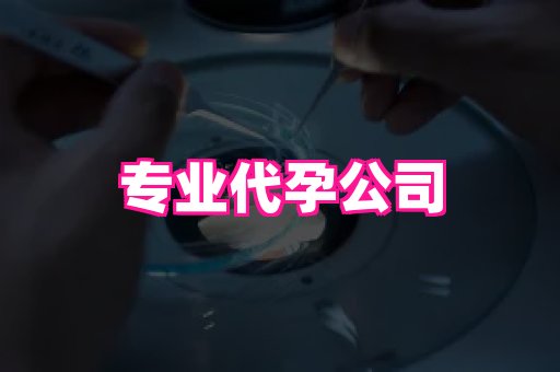 深圳助孕网站 1