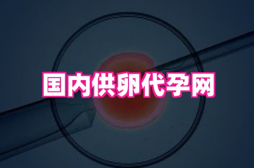 深圳助孕网站 3