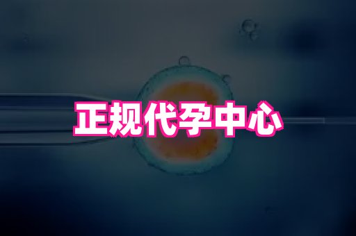 深圳助孕网站 4